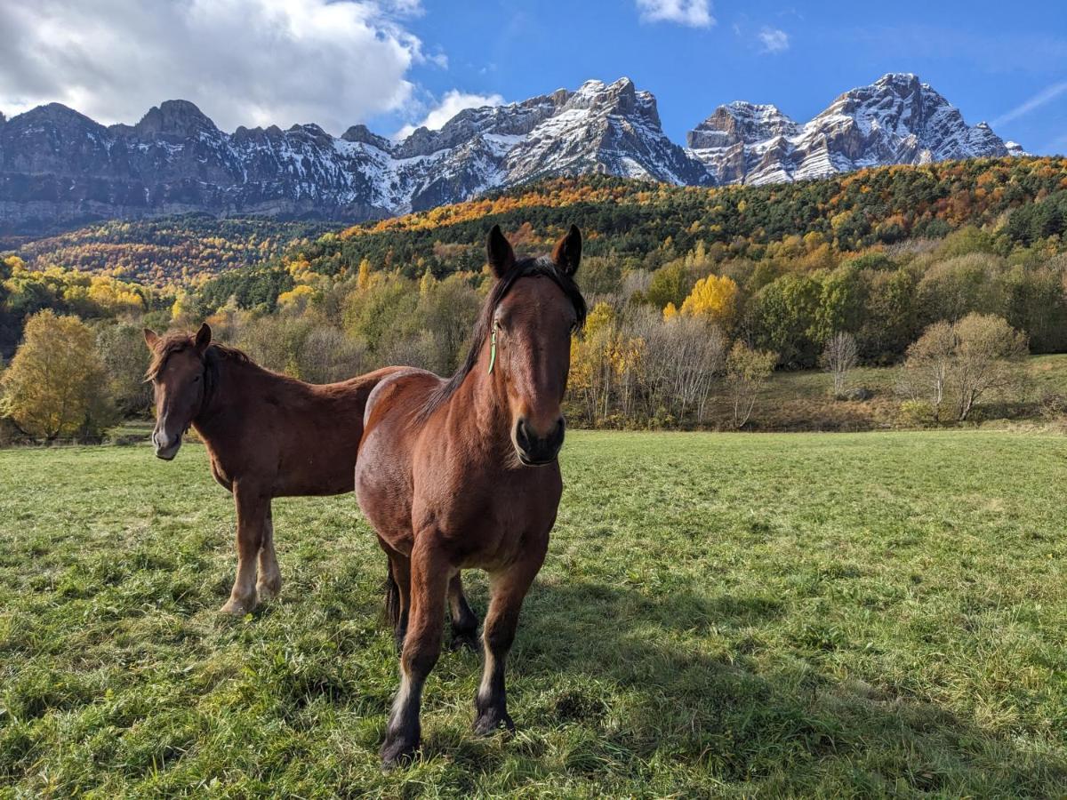 Nornore: Una Casa Especial En La Montana Piedrafita de Jaca Eksteriør billede